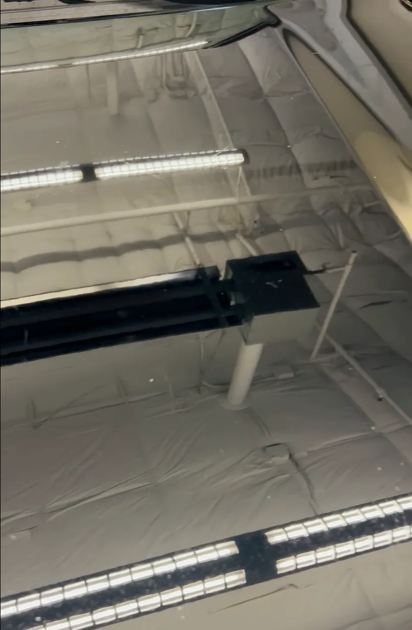 Paint after correction, glossy with no swirl marks